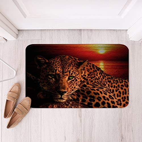 Moon Cheetah Area Rug Leopard Print Bath Rugs For Teens Boys,Animal Hide Wild Animal Skin Spot Rugs Novelty Wildlife Big Cat Kitchen Mat Ocean Beach Area Rug 16"X24" #TOP2