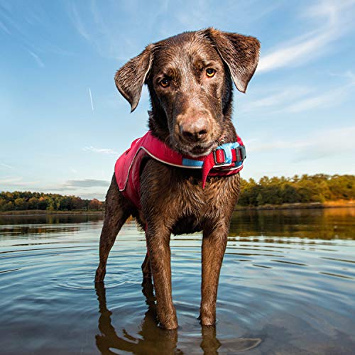 Kurgo Surf n’ Turf Dog Life Jacket - Flotation Life Vest for Swimming and Boating - Dog Lifejacket with Rescue Handle and Reflective Accents - Machine Washable - Red/Blue, Large - Thumbnail 6