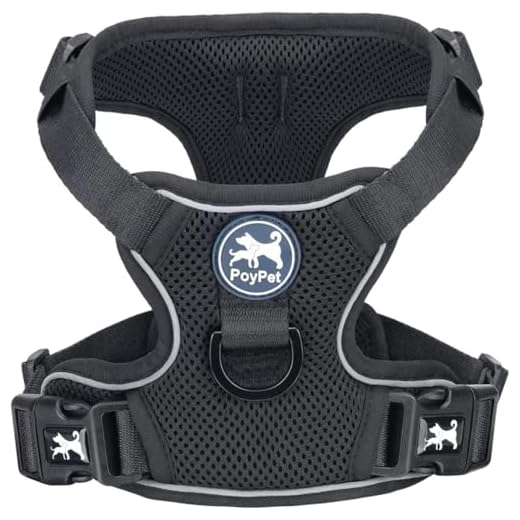 Atmungsaktives Hundegeschirr für Komfort