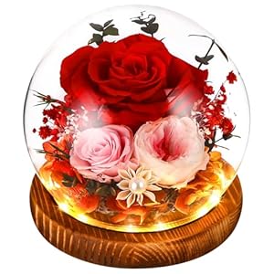 Wieczna róża w szkle ze światłem, nieskończoność szklana róża dla kobiet, zakonserwowany kwiat róży światło LED dla kobiet Mama Boże Narodzenie Walentynki Urodziny Rocznica Prezenty