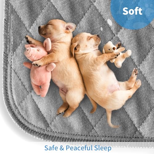 Image of Washable Reusable Dog Pee Pads, 82 inchx102 inch Absorbent & Waterproof Puppy Training Pad for Crate, Playpen & Carpet, Large Potty Pads for Dogs, Cats & Small Pets