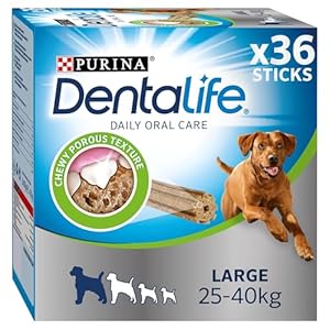 Purina Dentalife Kauspielzeug für große Hunde, 36 Stück
