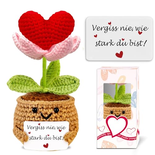 Geschenke für Frauen Gehäkelte Herz Deko Geburtstagsgeschenk für Frauen Kleines Glücksbringer Beste Freundin Gute Besserung Geschenke Pocket Hug Mutmacher Geschenk Weihnachten Valentinstag Muttertag