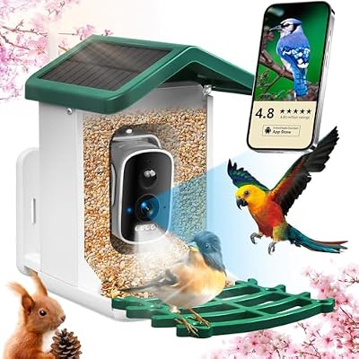 Smart Bird Feeder with Camera, 2.5k HD Camera Birds Feeders for Outdoors with AI Identify Species Solar Panel, Smart Bird House with Live View, Ideal Gift for Family and Birds Lovers (Green)
