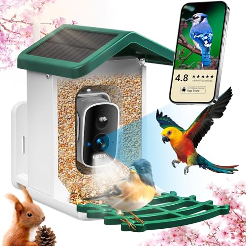 Smart Bird Feeder with Camera, Birds Feeders for Outdoors with AI Identify Species Solar Panel, Smart Bird House with Live View, Ideal Gift for Family and Birds Lovers, Green
