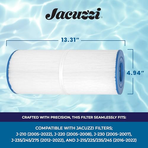 Jacuzzi hot tub spa system