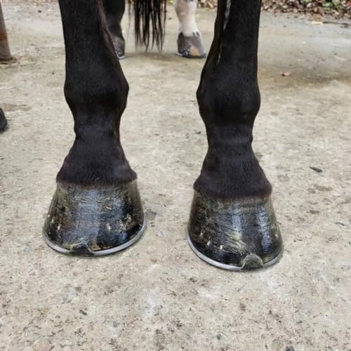 Stiff Bristled Horse Hoof Pick Brush with Soft Rubber Handle, Portable (2PCS, Random Color)