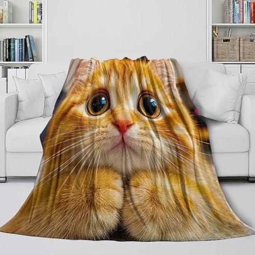 Couverture lit chat en peluche douce, une idée cadeau cocooning idéale - 5