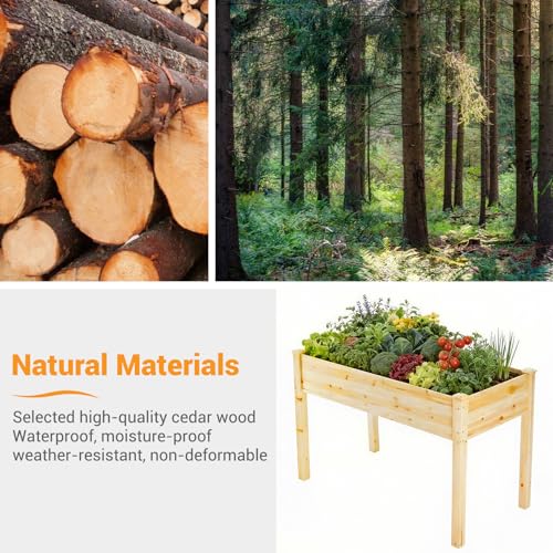 Image of DUMOS Raised Garden Bed with Legs, 48x24x30in Wood Elevated Planter Box w /Bed Liner for Herbs Flowers Vegetables, 300lbs Capacity Outdoor Gardening Planters for Patio Balcony Backyard, Natural Wood