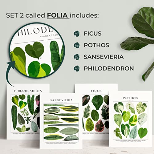Plant Poster Set Of 4 Unframed - Botanical Wall Art - Plant Stuff - Green Wall Art - Plant Wall Art - Plant Art Wall Prints - Plant Prints - Plant Pictures Wall Art - 8X10" (Folia) #TOP2
