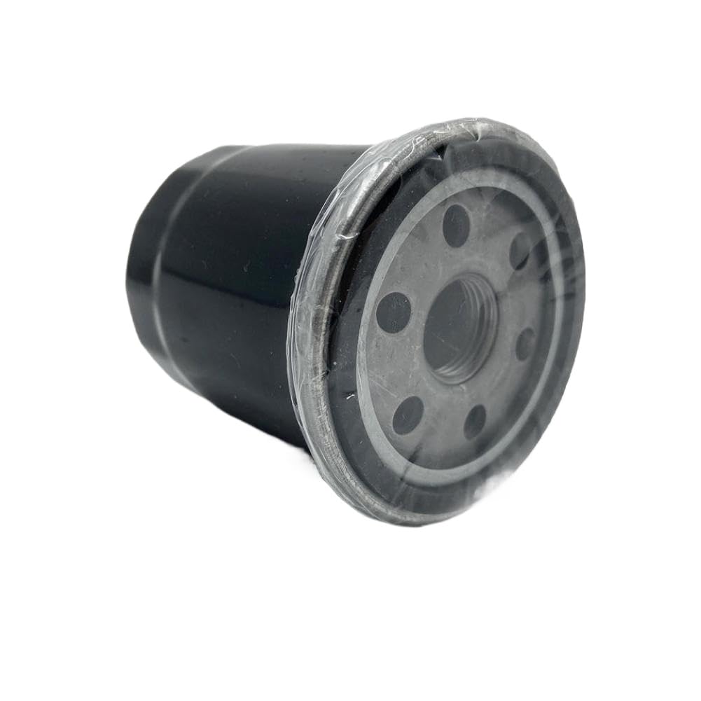 Filtro de Aceite Compatible Con Linhai 520 550 600 750 LH2V70 LH2V73 70196 LH520 LH550 ATV UTV Quad