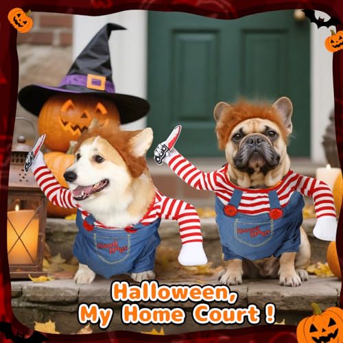 Disfraz Chucky para Perro T2Y X-Large miniatura 4