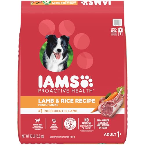 IAMS Proactive Health Minichunks Adult Dry Dog Food with Lamb & Rice, 30 lb. Bag