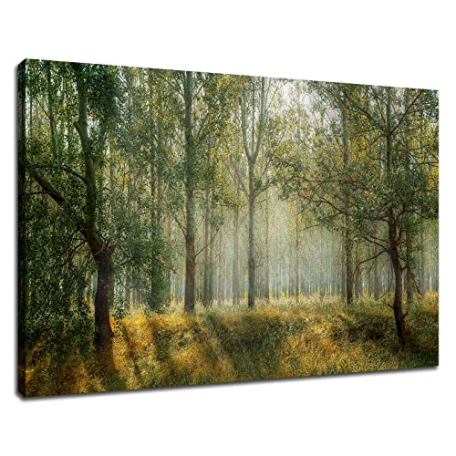 Forest Canvas Wall Art Trees Foggy Morning Spring Landscape Poster 1 Panel Painting Print Modern Home Decor Artwork For Living Room Bedroom Picture Stretched And Framed Ready To Hang [18''W X 12''H] #TOP22