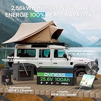 Dyness 24V 100Ah LiFePO4 Lithium Batterie mit Integriertem 100A BMS und Tieftemperaturschutz, ideal für 24V Trolling-Motoren(Boote), Wohnmobile und netzunabhängige Anwendungen – Ansicht 6
