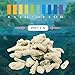 MYRIONT 500g/1.1lb Crushed Coral for Freshwater Aquarium, Pond Filter Aquarium Filter Media to Raise ph, Reusable Aquarium Filter, Fish Tank Coral Stones