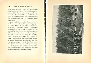 Hardcover Book of a Hundred Bears: a Tale of Yellowstone Park Book