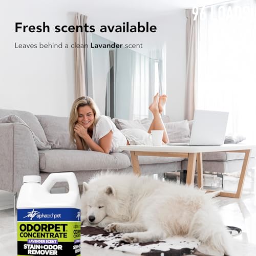 Image of OdorPet Pet Stain Remover and Odor Eliminator - 64 Oz (Makes 2.55 Gallons of Working Solution) Non Staining, Professional Strength, Lavender Scent by Alpha Tech Pet