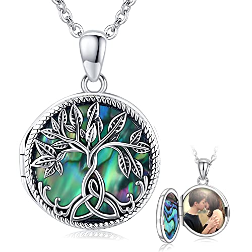Collier Arbre de Vie en argent 925 et nacre d'abalone véritable