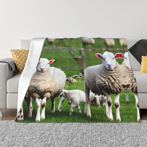 Couverture chaude flanelle motif mouton le cadeau doux parfait