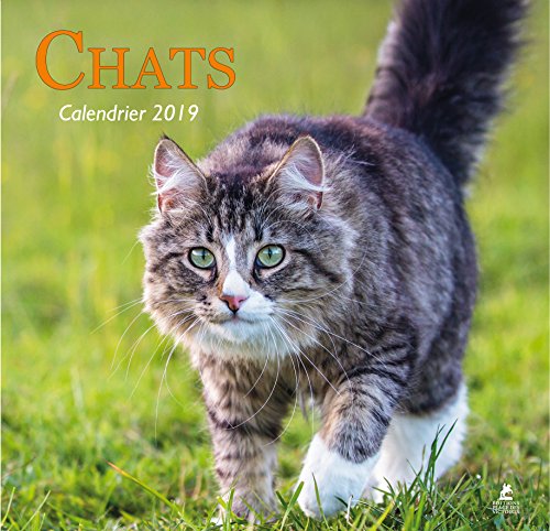 Chats - Calendrier 2019 Chats - Calendrier 2019