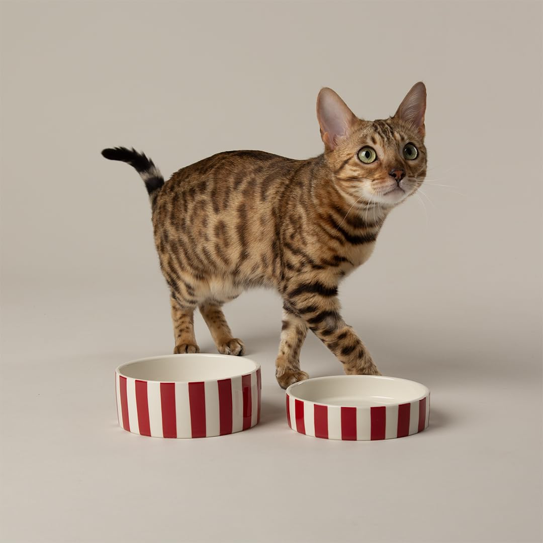 Amalfi Striped 2 Piece Cat Food Bowl & Saucer Set - Red โ image 1