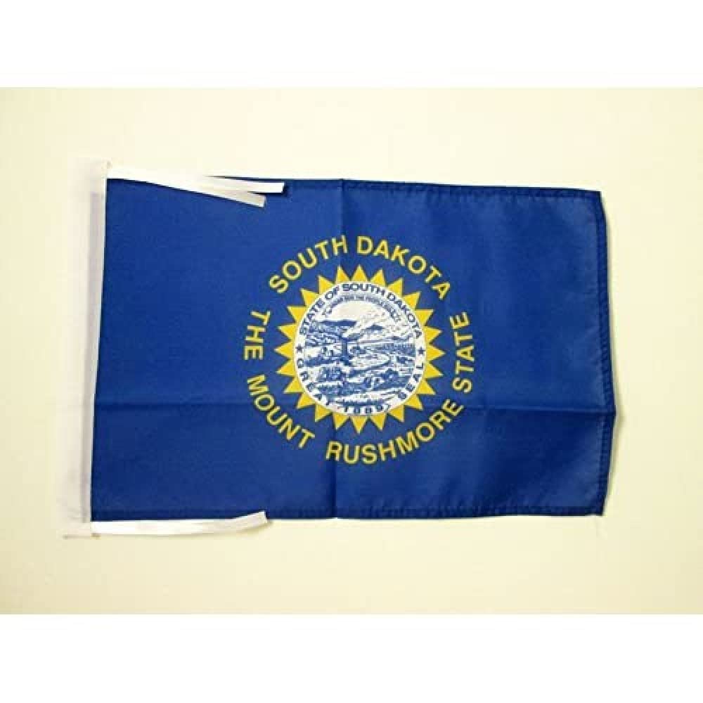 AZ FLAG - South Dakota Flag - 18'' x 12'' - 100% Polyester US state of Dakota du Sud Small Banner with Two Cords - Fade Resistant - Vivid Colors - 18x12 in - 45x30 Cm โ image 1