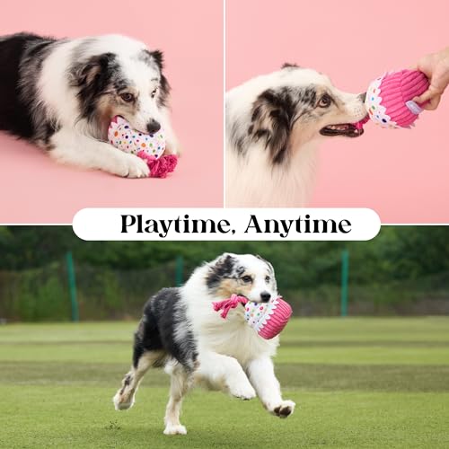 LE SURE Dog Birthday Cake Toy - Cute Squeaky Dog Toy for Gentle Chewers with Interactive Tug Rope, Plush Interactive Toy for Adult Dogs Birthday Party, Standard, Pink - image 5