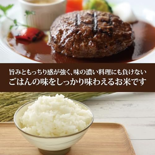 ミツハシ 無洗米 茨城県産コシヒカリ 2kg