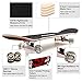 ChromeWheels 31 inch Skateboard Double Kick Skate Board Cruiser Longboard 8 Layer Maple Deck Skateboards for Kids and Beginners