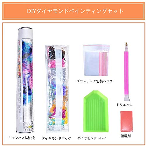 Pintura de diamante 5D faça-você-mesmo, de acordo com o kit digital adulto, arte de bordado de stras