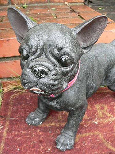 ブルドック　置物 619BOe0QeuL._UF350,350_QL50_.jpg
