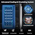 KingChii 15 Inch 31 Bottle Wine Cooler Refrigerator Professional Compressor, Stainless Steel & Tempered Glass For Red Wine, Champagne - Built-in or Freestanding for Kitchen, Home, or Office - Image 2
