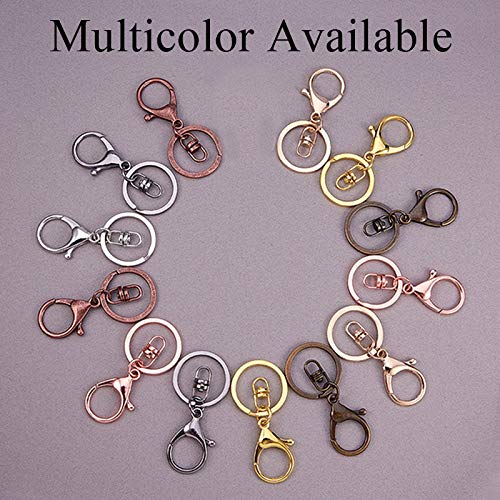 ROMDANTY 50Pcs Kreeft Klauw Sluitingen Sleutelhanger End Sluitingen Connectors Voor Ketting & Armband Ketting Diy Mode-sieraden Bevindingen ROMDANTY 50Pcs Kreeft Klauw Sluitingen Sleutelhanger End Sluitingen Connectors Voor Ketting & Armband Ketting Diy Mode-sieraden Bevindingen