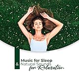 Relaxland Rec