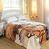 ShiGo Heavy Weight Super Soft Luxury Twin size Blanket 60