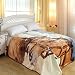 ShiGo Heavy Weight Super Soft Luxury Twin size Blanket 60"X80"-Mother Horse and Baby