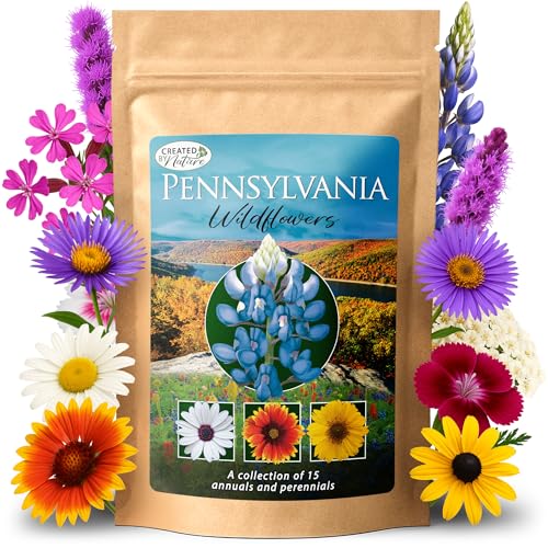 Created By Nature Pennsylvania Wildflower Seed Mix, 15 Flower Varietie