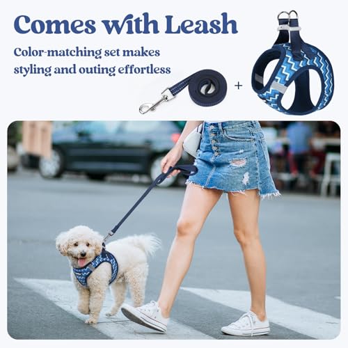 Image of rabbitgoo Dog Harness Small Sized and Leash Set, Step-in Puppy Pet Vest