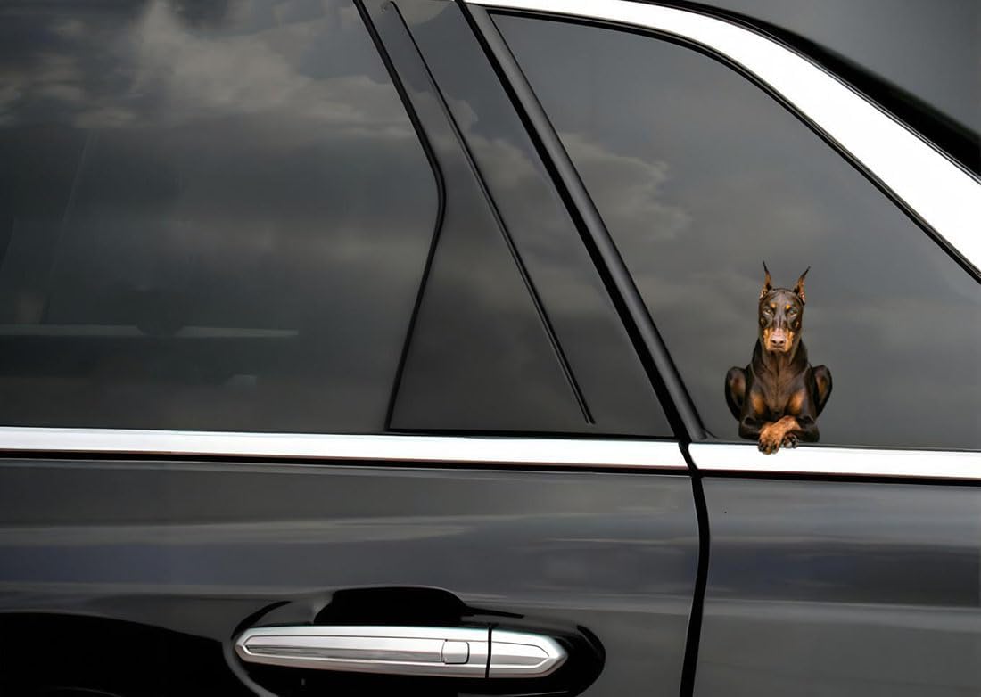 3D Doberman Inu Decorative Stickers (2-Piece Set) Waterproof, and Fun to use. They are Perfect for Sticking car Bodies, Window Glass, Bumpers, laptops, and More#A-062 - Image 7