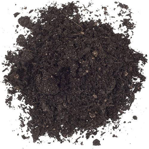 LIVE GREEN Soil & Fertilizers |Brown Leaf Mould Organic Granular Manure Fertilizer for Home Garden Plants (2kg) (LG-SBPT-34) (B0995KV7TM) Amazon Price History, Amazon Price Tracker