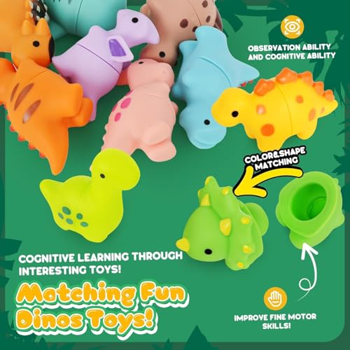 Image of BeFunky Montessori Toys with 10 Dinosaurs for Kids 1 2 3 Years | Sensory and Motor Learning Toy | Color Selection Set and Stackable | Gift for Birthday (Matching Dinosaurs)