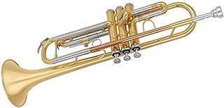 Student Brass Trumpet B-flat Withered Student Beginner Trumpet Band Professional Playing Grade Phosphor Bronze Paint Gold