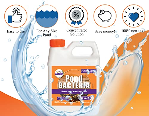 Image of Pond Worx Pond Bacteria - Concentrated & Formulated for Large Ponds, Water Features - Safe for Koi - 32 Ounces & Treats up to a Quarter Acre Pond (Pack of 2)