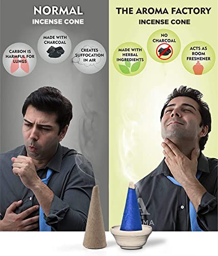 Image of The Aroma Factory Incense Dhoop Cone for Pooja, Fresh Active (100% Herbal & 0% Charcoal) 1 Bottle x 30 Cones
