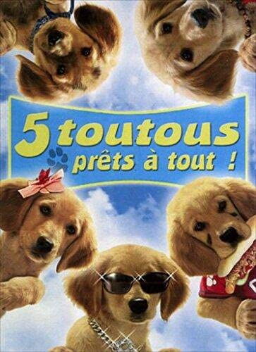 Cinq toutous prets a tout!