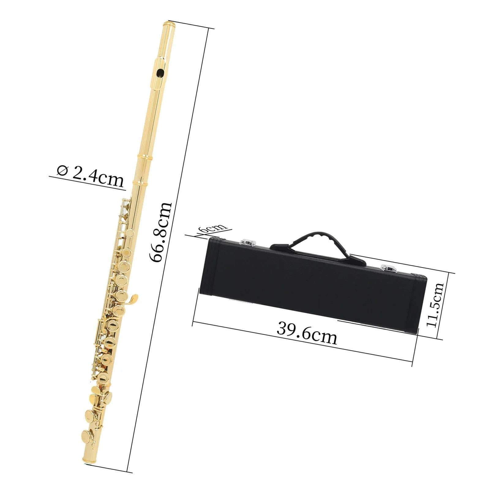 Professionnel Flûte Traversière Flûte De Concert En Cupronickel Plaqué Nickel, 16 Trous, Clé C, Avec Étui À Gants En Tissu