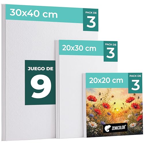 Zenacolor - Set de 9 Canvas - Lienzos para Pintar - Todos los Tipos de Pintura sobre Tela - 100% Algodón sin Ácidos (Multi-set 9)
