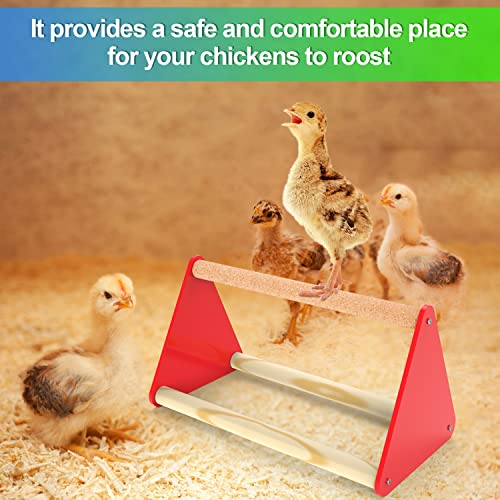 Chick Feeder And Waterer Kit, Baby Chicken Supplies With Chick Perch, Plastic Flip Top Small Poultry Feeder, 0.2 Gallon Waterer For Chicks Ducks Quails #TOP4