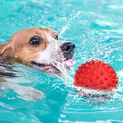 Apasiri 𝐔𝐩𝐠𝐫𝐚𝐝𝐞𝐝 𝐕𝐞𝐫𝐬𝐢𝐨𝐧 Dog Balls Squeaky Dog Toys For Large Dogs, Dog Toys For Aggressive Chewers, Tough Spiky Dog Ball, Durable Dog Ball, Floatable Rubber Pet Toys For Medium Breed #TOP5